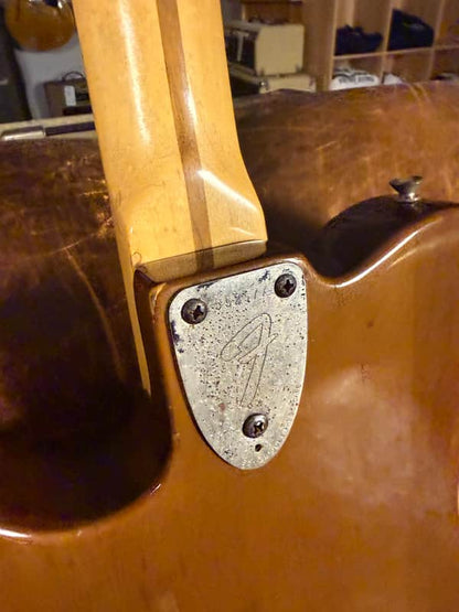 1973 Fender Telecaster Custom - Walnut (Mocha) - 7.3 Lbs