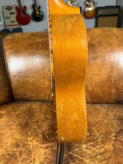 1966  Epiphone FT-30 Caballero - Natural Satin