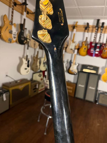 1976 Gibson Firebird '76 Bicentennial - Ebony