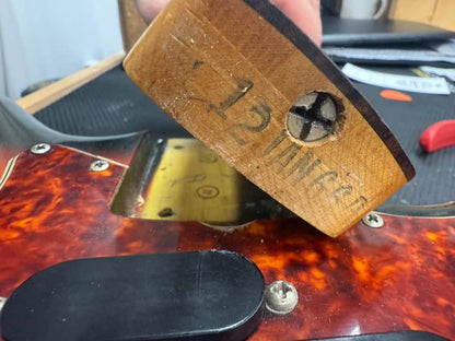 1966 Fender Electric XII - Sunburst