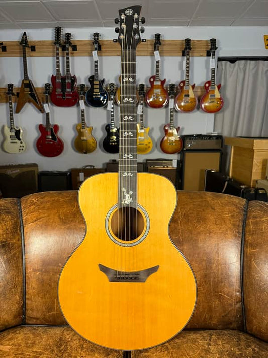 Haida Gwaii Custom Acoustic Guitar - Natural - 1 of 70